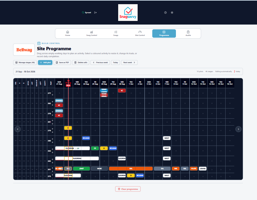 Current SnagSavvy Site Programme screen